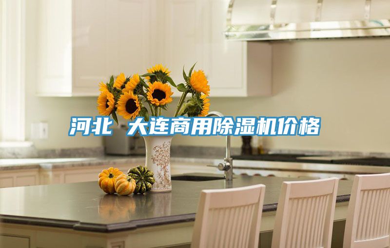 河北 大连商用免费看操逼软件价格