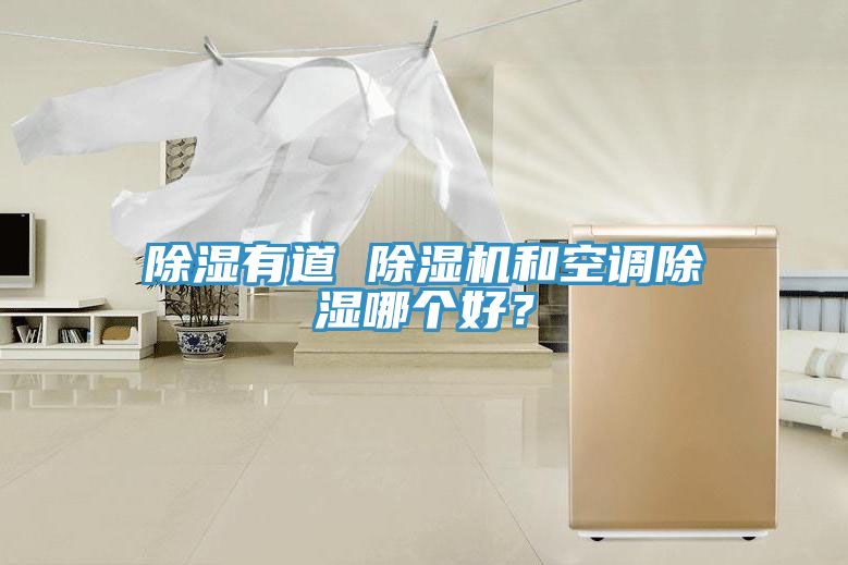 除湿有道 免费看操逼软件和空调除湿哪个好？