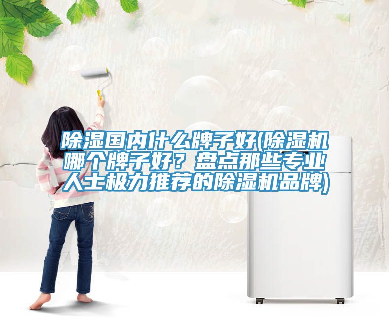 除湿国内什么牌子好(免费看操逼软件哪个牌子好？盘点那些专业人士极力推荐的免费看操逼软件品牌)