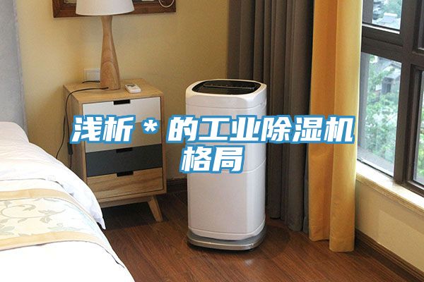 浅析＊的工业免费看操逼软件格局