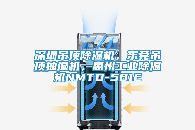 深圳吊顶免费看操逼软件，东莞吊顶抽湿机，惠州工业免费看操逼软件NMTD-581E