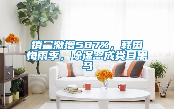 销量激增587%，韩国梅雨季，除湿器成类目黑马