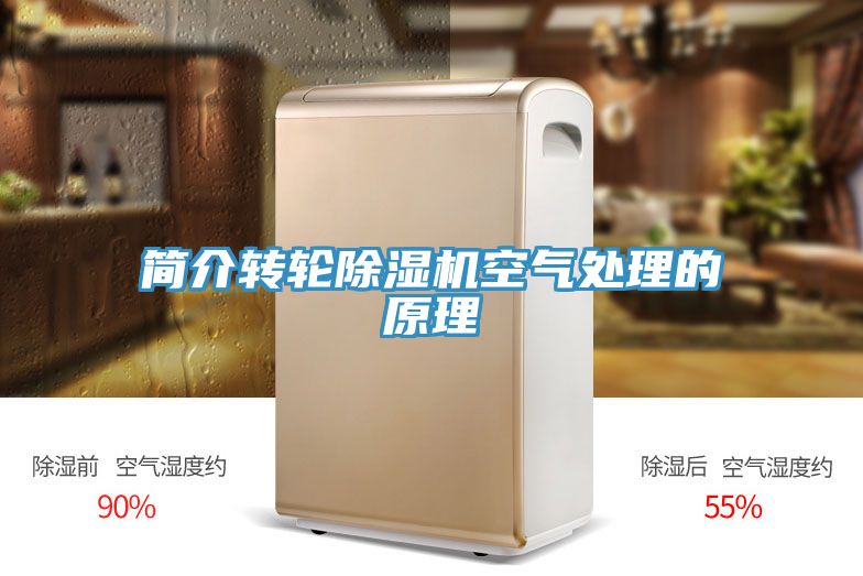 简介转轮免费看操逼软件空气处理的原理