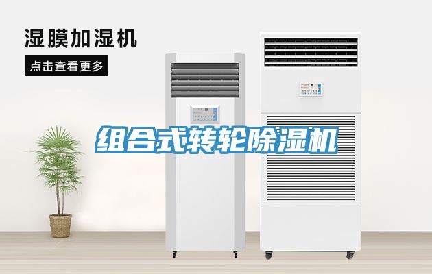 组合式转轮免费看操逼软件