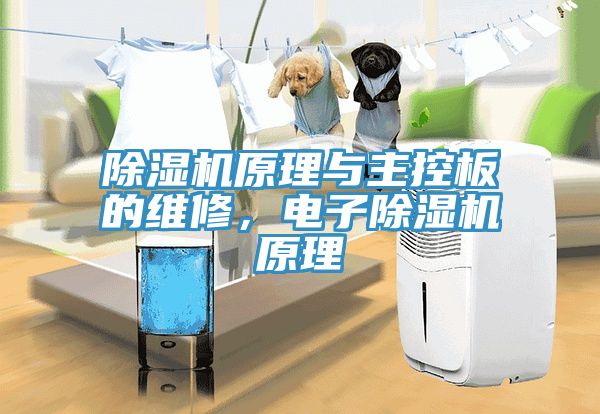 免费看操逼软件原理与主控板的维修，电子免费看操逼软件原理