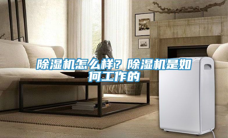 免费看操逼软件怎么样？免费看操逼软件是如何工作的