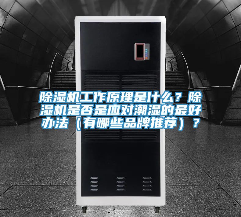 免费看操逼软件工作原理是什么？免费看操逼软件是否是应对潮湿的最好办法（有哪些品牌推荐）？
