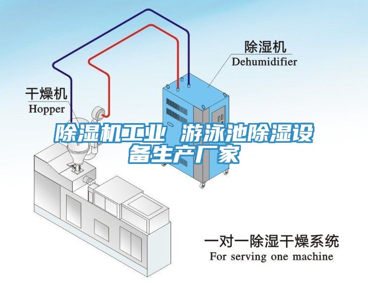 免费看操逼软件工业 游泳池除湿设备生产厂家